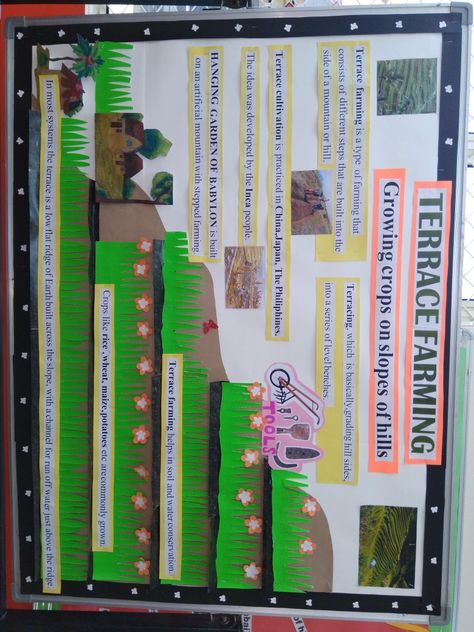 Terrace Farming, Board Ideas, Bulletin Board, Agriculture, Terrace, Bed, Quick Saves