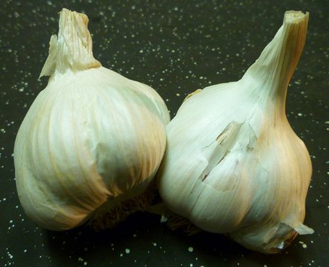 It turns out that your garden plants also love garlic! Learn the insecticidal, fungicidal, and deterrent benefits of using garlic water for plants! Pesticides For Plants, Garlic Water, Natural Pesticides, Organic Pesticide, Organic Vegetable Garden, Leafy Vegetables, Garden Guide, Organic Gardening Tips, Garden Pests