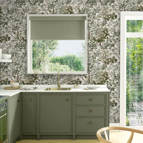 Sage green kitchen walls