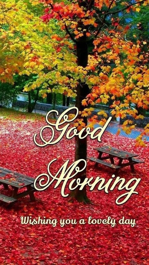 Good Morning Motivational Quotes, Autumn Greetings, Good Morning Sun, Daily Wishes, Inspirational Good Morning Messages, Quotes Morning, Lovely Morning, Good Morning Funny Pictures, Quotes Good Morning