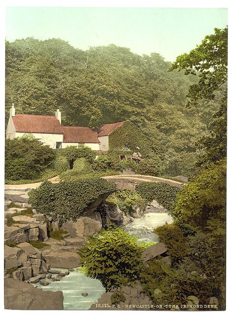 Jesmond Dene, Isles Of Scilly, Postcard Collection, Exterior Stone, Greater London, Newcastle Upon Tyne, Buy Wall Art, Old Days, Second Story