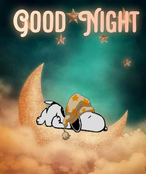 Get Cozy with These 10 Snoopy-Inspired Good Night Quotes! Snoopy Good Night, Good Night Snoopy, Funny Good Night Pictures, Good Night Sunday, Goodnight Snoopy, Arte Do Mickey Mouse, Good Night Cat, Good Morning Snoopy, Woodstock Snoopy