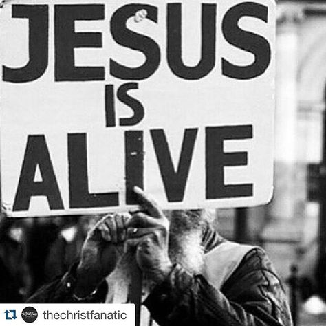 What Would Jesus Do, Jesus Is Alive, Wal Art, Gods Not Dead, Bible Love, Jesus Is Life, Christian Songs, Jesus Saves, Jesus Loves Me