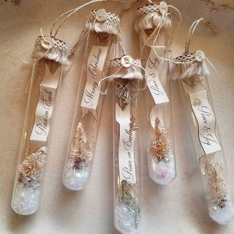 ~ The Feathered Nest ~: Little Christmas wishes under glass ~ Test Tube Crafts, Handmade Christmas Decorations, Christmas Ornaments Homemade, Handmade Christmas Gifts, Christmas Ornament Crafts, Handmade Christmas Ornaments, Noel Christmas, Homemade Christmas, Xmas Crafts