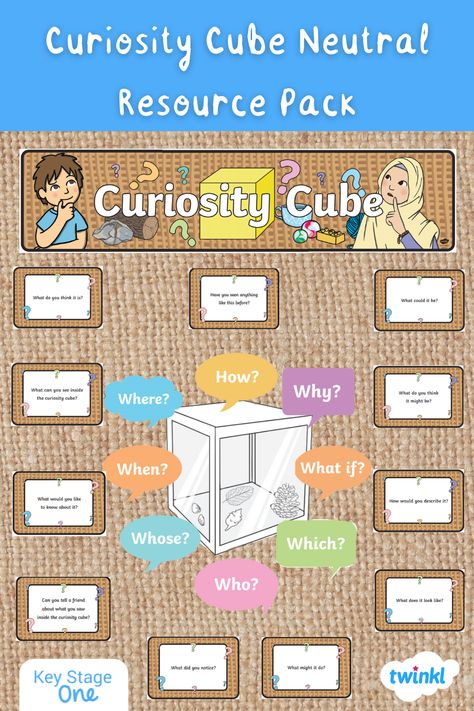 Curiosity Corner Classroom, Curiosity Box Ideas, Curiosity Cube Eyfs Ideas, Continuous Provision Eyfs, Sunflower Activities, Investigation Station, Thomas Bewick, Mali Princ, Ib Pyp Classroom