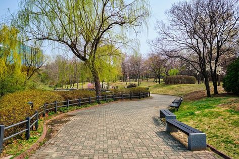 Path walk with benches in Yeouido Park public park in Seoul, Korea Yeouido Park, Korean Landscape, Bukchon Hanok Village, Visit Seoul, South Korea Seoul, Han River, Lotte World, Urban Forest, K Dramas