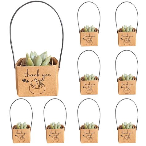 PRICES MAY VARY. Unique and Cheerful: Our AMZAOMNN 50Pcs Thank You Succulents Wraps are the perfect addition to any succulent party favors. These wraps add a touch of playfulness and vibrancy to your event, making them a unique and memorable gift for your guests. Versatile Gift Option: Forget about traditional baby shower or wedding favors like koozies and cookies. Give your guests something that will add cheer to their homes - a beautiful succulent. Our wraps make the perfect decoration sleeve Women's Party Favors Gift Ideas, 1st Birthday Party Favors For Adults, Thank You Party Favors For Adults, Party Favors For Baby Shower Guests, Gift Plants Ideas, Client Thank You Gifts, Baby Shower Take Home Gifts, Succulent Bridal Shower Favors, Housewarming Party Favors