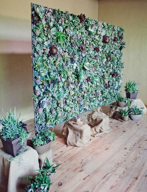 Succulents really stand out when you arrange a ton of them on a wall. Diy Fotokabine, Diy Photo Booth Backdrop, Green Wedding Flowers, Booth Backdrops, Photo Backdrop Wedding, Photos Booth, Creative Wedding Photo, Eco Wedding, Diy Photo Booth