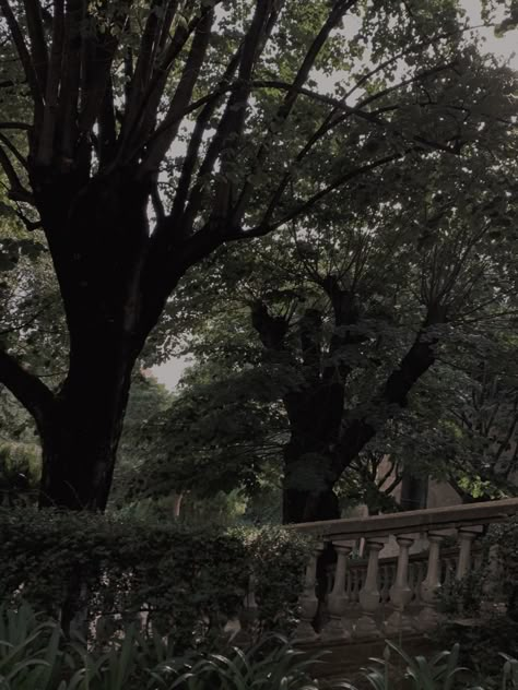 Grunge Garden Aesthetic, Mysterious Garden Aesthetic, Gloomy Garden Aesthetic, Victorian Garden Aesthetic Dark, Dark Academia Courtyard, Dark Academia Garden Aesthetic, Garden Gothic Aesthetic, Haunted Garden Aesthetic, Dark Academia Aesthetic Landscape