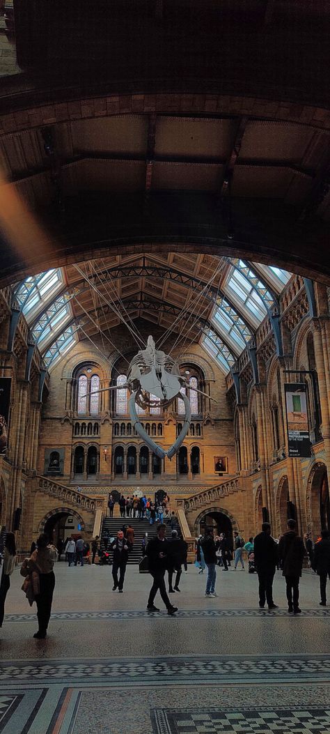 National History Museum London, National History Museum, History Museum, Louvre, London, History, Building, Travel