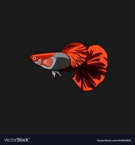 Guppy Fish Drawing, Guppies Fish, Diamond Tattoo Designs, Collage Fodder, Diamond Tattoo, Guppy Fish, Seni Pop, Anime Lock Screen Wallpapers, Anime Lock Screen