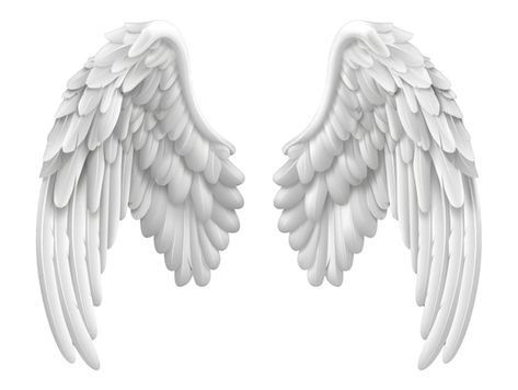 Angel Wings Png, Wings Png, White Angel Wings, White Angel, Background Png, Angel Wings, Graphic Resources, Transparent Background, Angel