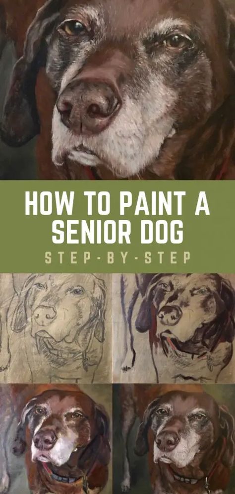 Portrait Tips, Dog Portraits Painting, Painting Fur, Dog Portraits Art, Watercolor Dog Portrait, Dog Steps, Dog Nose, Canine Art, Watercolor Dog