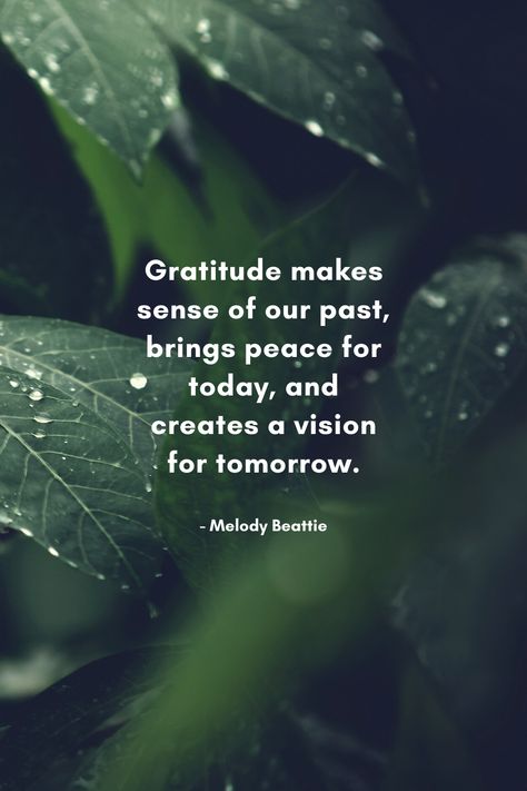 Peace And Gratitude Quotes, Peaceful Mind Grateful Heart Quotes, Making Peace With Your Past, Appreciate Life Quotes Be Grateful, Bigger Picture Quotes, Intriguing Quotes, Make Peace With Your Past, Grateful Heart Quotes, Melody Beattie