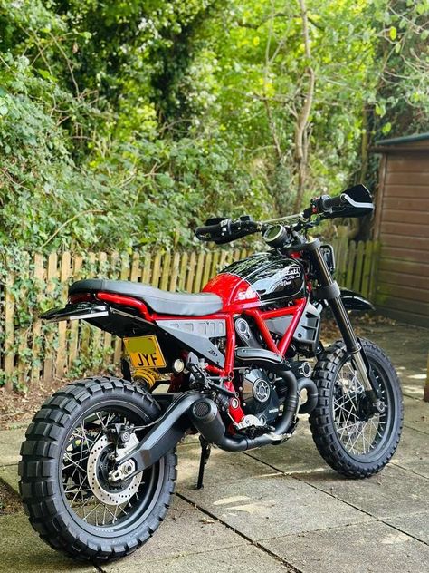 Desert Shred: Custom Ducati Desert Sled – BikeBound Ducati Desert Sled, Custom Ducati, New Ducati, Desert Sled, Street Bike, Ducati Scrambler, Moto Guzzi, Bikes For Sale, Street Bikes