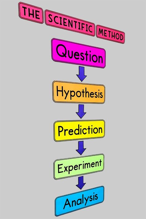 Science Cba 1 Ideas, Grade 7 Bulletin Board Ideas, Scientific Method Bulletin Board, Science Board Ideas, Science Boards Display Ideas, Science Charts For Classroom, Biology Decorations, Science Bulletin Board Ideas, Scientific Method Anchor Chart