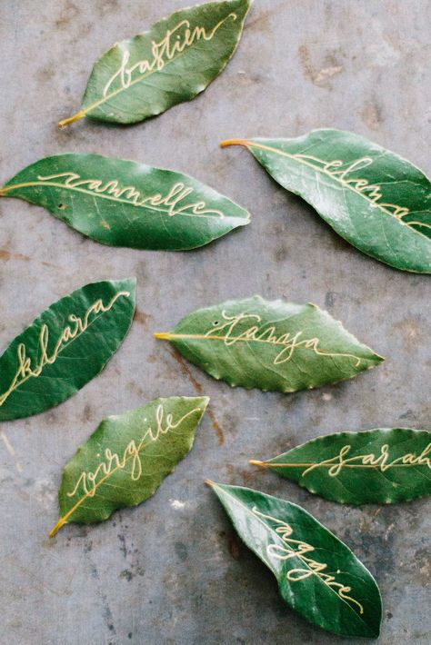 Garden Provence, Secret Garden Parties, Magnolia Leaf, Dinner Party Decorations, Secret Garden Wedding, Outdoor Wedding Inspiration, Garden Party Decorations, Outdoor Dinner, Garden Birthday