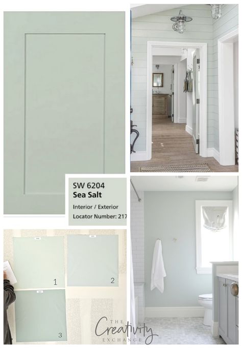 Sherwin Williams Sea Salt is... - The Creativity Exchange Paint Bathroom Walls Ideas, Sea Salt Sherwin Williams Basement, Sea Salt Paint Colors Sherwin Williams, Sw Sea Salt Bathroom Cabinets, Sea Salt Wall Color, Sherwin Williams Sea Foam, Paint Pallets For Home Color Schemes Sherwin Williams, Sea Mist Paint Color, Sea Green Bathroom Ideas