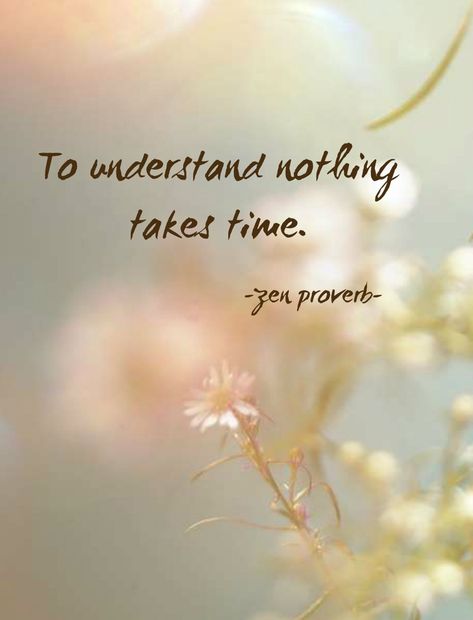 To understand nothing takes time. "To understand nothing takes time." - Zen proverb Zen Proverbs, Lao Tzu Quotes, Zen Quotes, Proverbs Quotes, Zen Buddhism, Buddha Quotes, Wall Quotes, Haiku, Inspirational Quotes Motivation