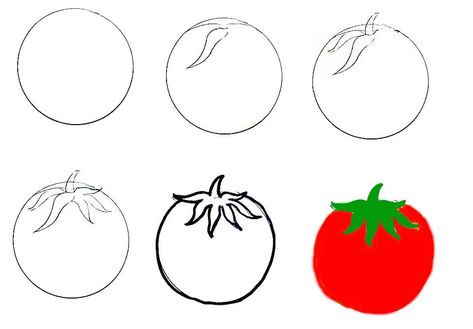 How To Draw A Tomato In 6 Easy Steps 1 How To Draw Tomato, Tomatoes Drawing, Tomato Drawing, Tomato Festival, Lol Coloring Pages, Lol Coloring, Art Activity, Winter Crafts For Kids, Step By Step Painting