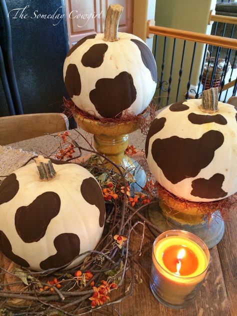 Brown Cow Pumpkin Painting, Cowprint Pumpkin Painting, Pumpkin Carving Ideas Cowgirl, Cowgirl Pumpkin Painting, Cow Print Pumpkin Painting, Cow Painted Pumpkin, Western Painted Pumpkins, Cow Pumpkin Painting Ideas, Pumpkin Painting Ideas Western