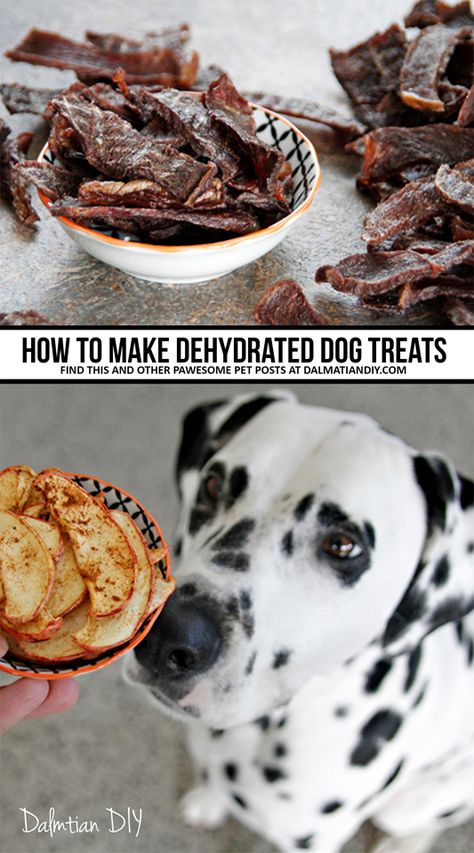 Homemade Dog Cookies, Homemade Jerky, Dog Biscuit Recipes, Treats For Dogs, Diy Dog Treats, Dog Bakery, Healthy Dog Food Recipes, Dehydrated Food, Dog Cookies