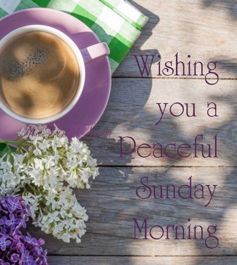 Wishing You A Peaceful Sunday Morning morning good morning sunday sunday quotes happy sunday sunday blessings sunday quote happy sunday quotes Peaceful Sunday, Sunday Morning Quotes, Sunday Pictures, Sunday Greetings, Good Afternoon Quotes, Hello Sunday, Weekend Quotes, Easy Like Sunday Morning, Happy Sunday Quotes