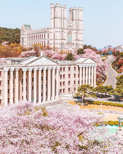 Kyung Hee University, Kyunghee University, Campus Aesthetic, Student Exchange, Seoul Cafe, Yonsei University, Best Universities, Korea University, Kyung Hee