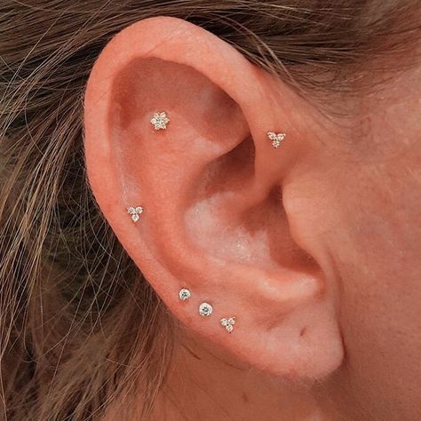 EAR CURATION on Instagram: “Flat, forward helix, mid-helix, and triple lobe piercings 💖 Helix pierced by @cx.jon with @maria_tash jewellery✨ // image via @maria_tash &…” Mid Helix Piercing, Piercings Oor, Triple Lobe, Triple Lobe Piercing, Piercings Bonitos, Minimalist Ear Piercings, Ear Curation, Lobe Piercings, Helix Piercings