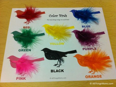 related posts: Aba Crafts, Shichida Method, Bird Activities, Stem Preschool, Bird Crafts Preschool, Nest Craft, Learning Colours, Bird Nest Craft, Craft Feathers