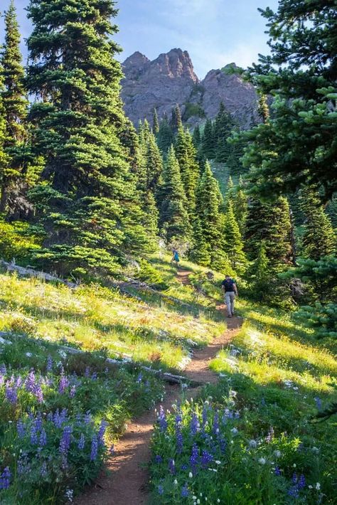 Mount Angeles, in the Hurricane Ridge area, is one of the best hikes in Olympic National Park. Here's how to do it. 2024 Aesthetic, North Cascades National Park, Nature Hikes, Inspiration Photos, North Cascades, Olympic National Park, Epic Journey, Hiking Trail, Mountain Hiking