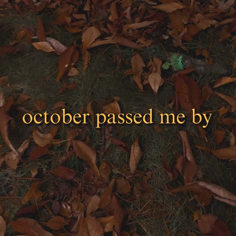 october passed me by trend October Passed Me By Lyrics, October Passed Me By, Autumn Lyrics, October Trends, Reflective Journal, Sleepy Girl, October Crafts, Fall Planters, High School Life