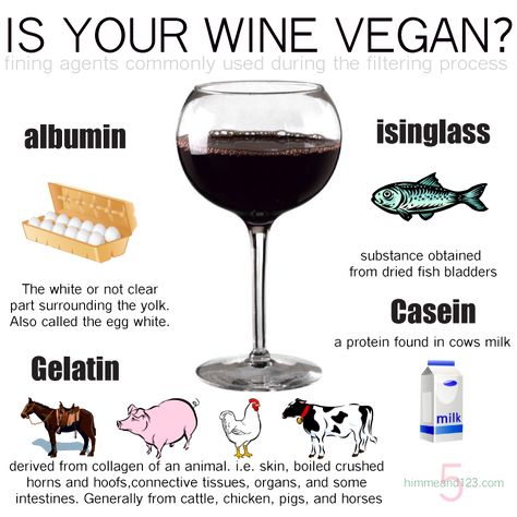 Browse through a great list of vegan friendly wine options: http://www.barnivore.com/wine Vegan Reasons, Vegan Alcohol, Vegan Tips, Vegan Facts, Vegan Wine, Vegan Drinks, Animal Liberation, Vegan Inspiration, Vegan Living