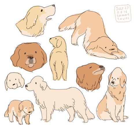 Golden Retriever Drawing, 골든 리트리버, 강아지 그림, Arte Inspo, Dog Illustration, Dessin Adorable, Animal Sketches, Arte Animal, Dog Drawing