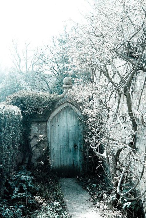 The Secret Garden, Garden Gate, Old Door, Blue Door, Garden Doors, Beautiful Doors, Entrance Doors, Garden Gates, Enchanted Forest