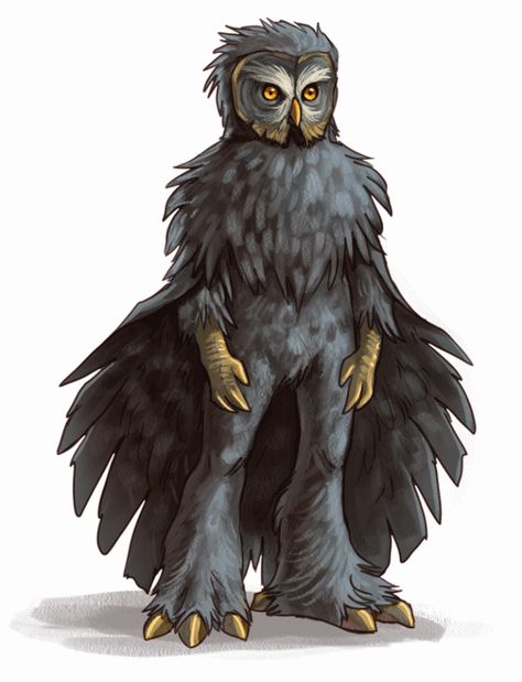 More Concept Art Owl Concept Art, A Tiger, A Lion, Rodents, Dnd Characters, Character Portraits, Roleplaying Game, Fantasy Creatures, Owls