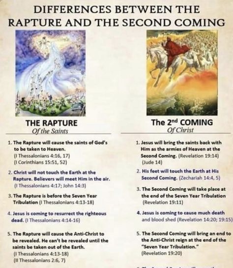 Rapture Bible, Biblical Images, Revelation 19, End Times Prophecy, Christian Studies, Bible Things, Brain Facts, Christian Bible Study, Spiritual Disciplines