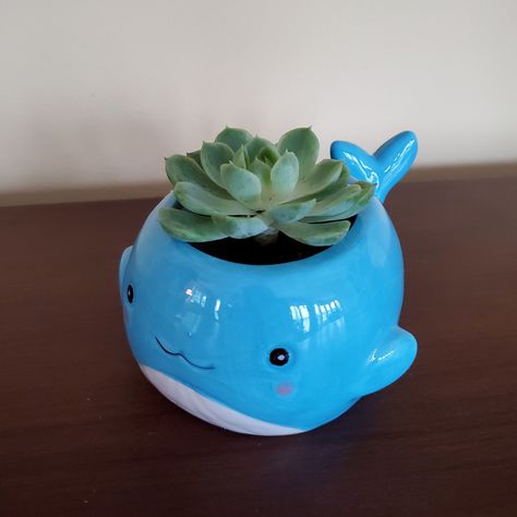 "This animal planter is a Whale with a happy face. This pot version is larger than the other whale planter I have listed, and it has a drainage hole with mesh cover for better draining when you water your plant. This is a ceramic Happy Whale Planter planted with a Live Succulent. This planter does have a drainage hole with a mesh cover. A plug is also included in case you want to close up the hole. The planter dimensions are 6\" x 4\" x 2.5\", and the opening is about 2.5\" wide. Each pot is car Whale Pinch Pot, Creative Pinch Pot Ideas, Animal Clay Pots, Cute Pinch Pot Ideas Easy, Pinch Pot Animals Ceramics, Whale Ceramic, Animal Pinch Pots, Ceramic Whale, Pinch Pot Animals