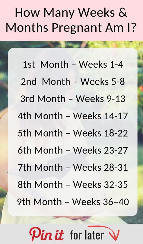 Weeks To Months Pregnant, Pregnancy Hacks, Baby News, Pregnancy Information, Pumping Moms, Baby Planning, Pregnancy Months, Baby Sleep Problems, Weeks Pregnant