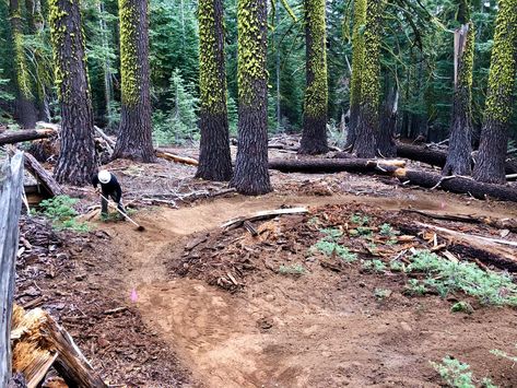 New Mountain Bike Trails [July 2021] Trail Building, Mtb Trails, Australian Capital Territory, Best Mountain Bikes, Bike Trail, Bike News, Mountain Bike Trails, Bike Parking, Bay City