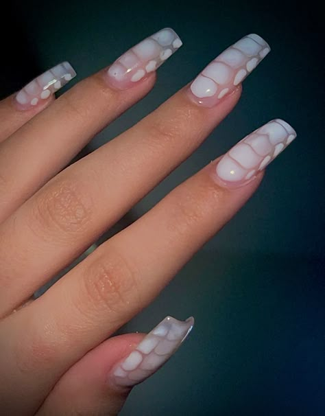 White Snake Print Nails, White Croc Nails, Snake Skin Nails Designs, Snakeskin Nails, Medium Square Nails, Croc Nails, White Tip Acrylic Nails, Snake Nails, Snake Skin Nails