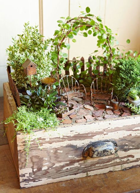 Miniature Garden Design, Beach Fairy Garden, Indoor Fairy Gardens, Jardim Diy, Fairy Garden Crafts, Fairy Garden Designs, Garden Vines, Faeries Gardens, Mini Fairy Garden