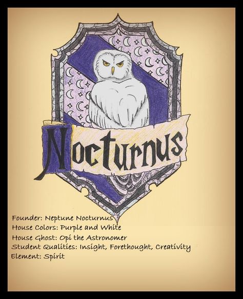 Hogwarts House by nenedudette American Wizarding School, Harry Potter Script, Harry Potter Oc, Magic House, Queen Of, Harry Potter Hufflepuff, Harry Potter Fanfiction, Harry Potter Theme, Hogwarts School