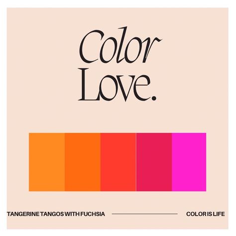 A color palette from tangerine to fuchsia Fuchsia Colour Palette, Fuchsia Color Palette, Fuchsia Color, Bagels, A Color, Colour Palette, Tango, Color Palette, Company Logo