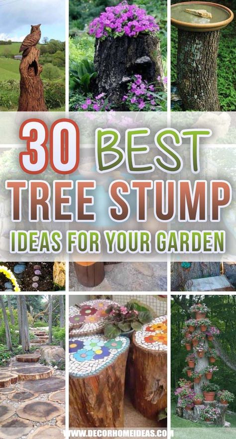 Tree Stumps Diy, Tree Stump Ideas, Tree Stump Decor, Fairy Garden Ideas Diy, Stump Ideas, Tree Stump Planter, Tree Stump Table, Tattoo Plant, Diy Tree