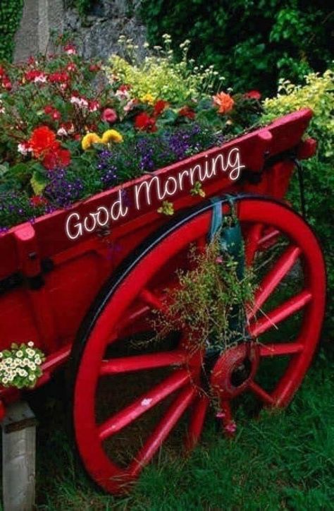 Rise and Shine: 10 Good Morning Quotes, Sayings, and Messages to Start Your Day Right Good Morning Quotes Funny, सुप्रभात संदेश, Very Good Morning Images, Flowers Morning, Good Morning Massage, Good Morning Happy Monday, Good Morning Coffee Gif, Cute Good Morning Images, Happy Morning Quotes