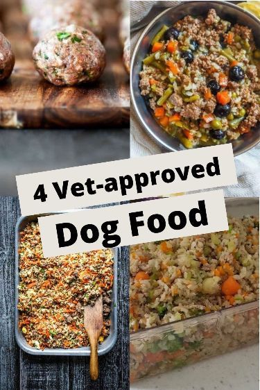 Top 4 Vet Approved Homemade Dog Food For Diabetic Dog Homemade Dog Food Vet Approved, Dog Food Recipes Crockpot, Dog Homemade, Egg Dog, Dog Food Recipe, Easy Dog Treat Recipes, Diy Dog Food, Make Dog Food, Dog Biscuit Recipes