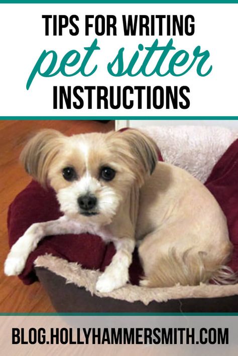 Tips for Writing Pet Sitter Instructions Dog Sitter Instructions, Pet Sitter Instructions, Dogs On Planes, Pet Planner, Meds For Dogs, Tips For Writing, Dog Business, Pet Businesses, Dog Ideas