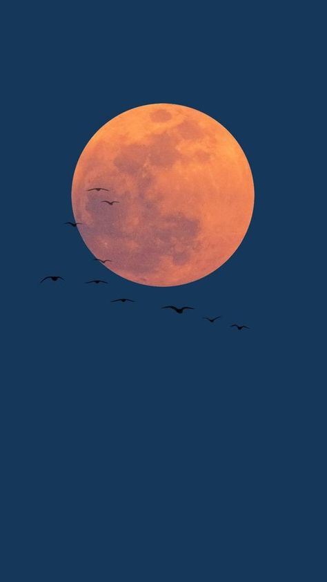 1366x768 Wallpaper Hd, Moon Shine, Amoled Wallpapers, Moon Wallpaper, The Moon Is Beautiful, Look At The Moon, Wallpaper Doodle, Moon Pictures, Soft Wallpaper