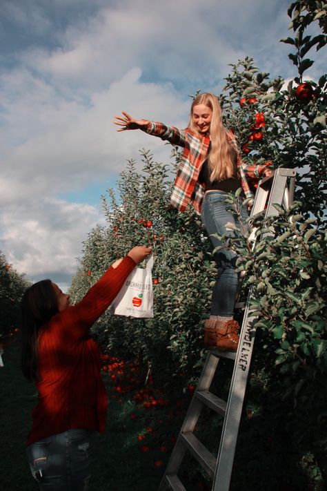 Apple Picking Photoshoot Friends, Apple Orchard Photoshoot Friends, Apple Picking Photo Ideas, Couple Apple Picking Pictures, Apple Picking Photoshoot Couple, Apple Orchard Photoshoot Family, Apple Picking Couple, Apple Picking Photoshoot, Apple Orchard Photoshoot